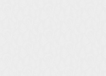 Rasch Step-Up W185113