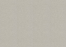 Недорогие обои от 701 рублей Rasch Allegretto 479409